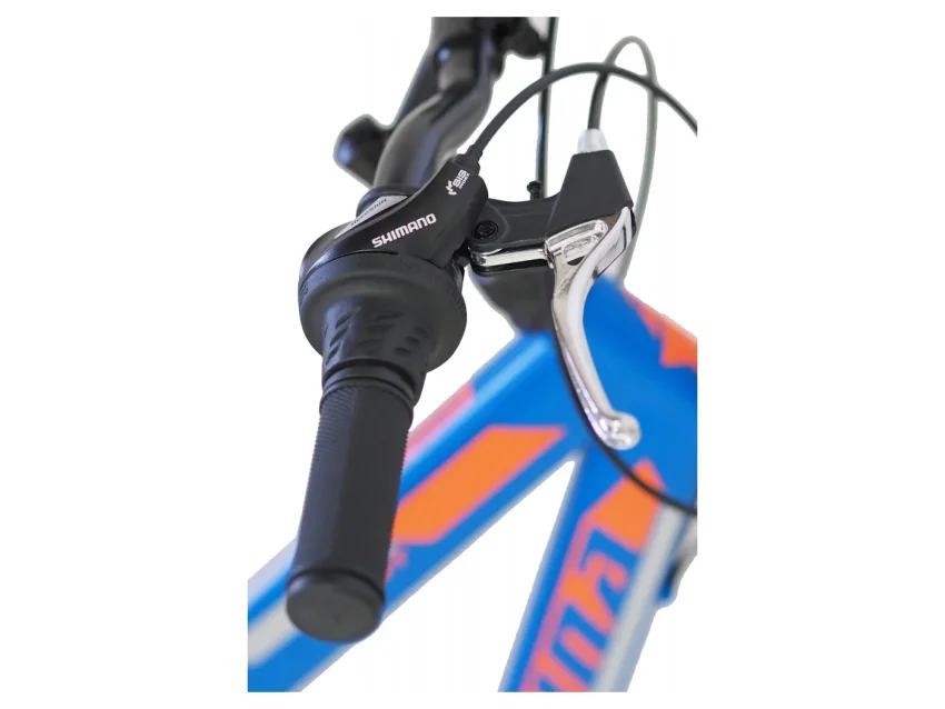 Alpina Alpha Shimano MTB 29 Μπλε