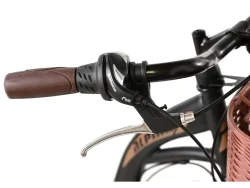 Alpina City 26'' Shimano Μαύρο