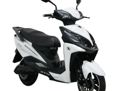 E-RIDE SCORPION