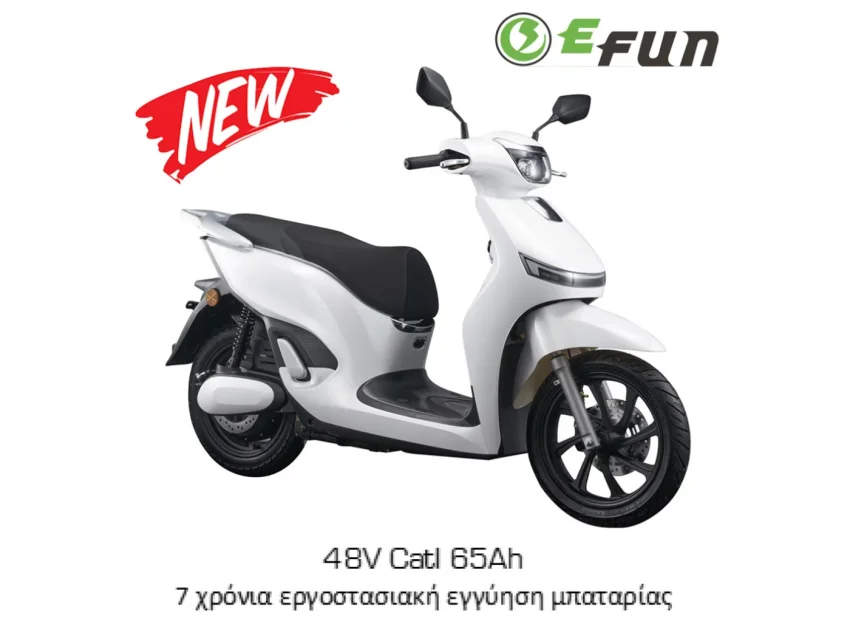 EFUN DEER 48V 3000W 