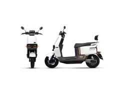 TAILG F52 LEAD ACID 25km/h