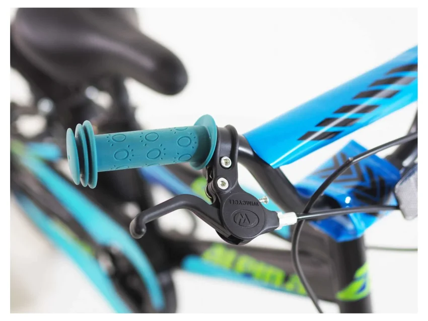 Alpina 20" GoGo Μαύρο/Μπλε