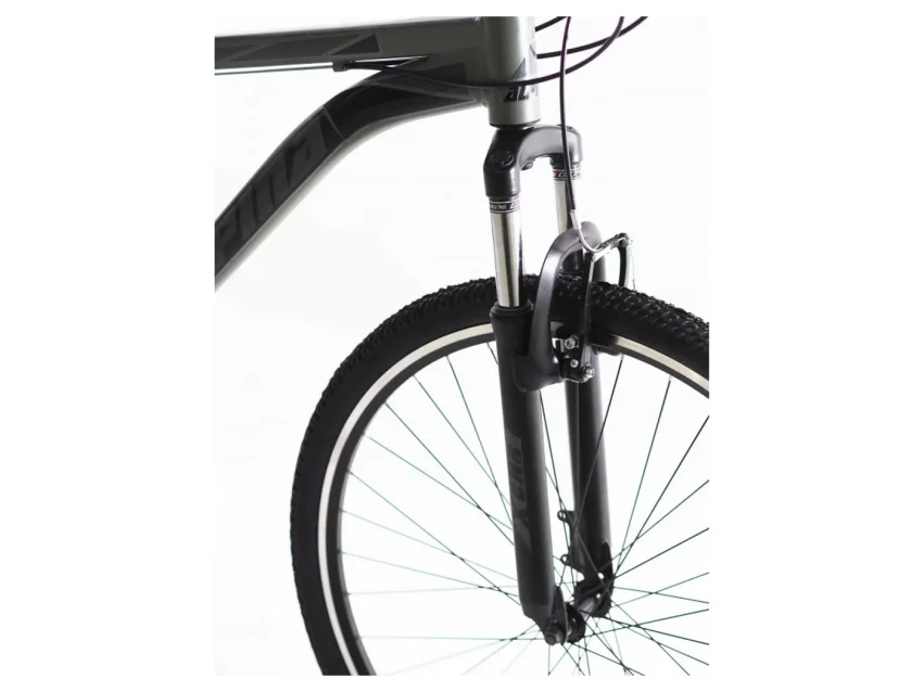 Alpina MTB alloy 29'' 21T Γκρί