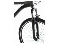 Alpina MTB alloy 29'' 21T Γκρί