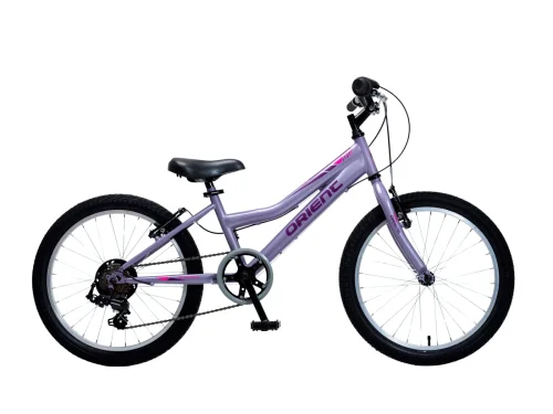 ORIENT SPRINT 20″ Μωβ