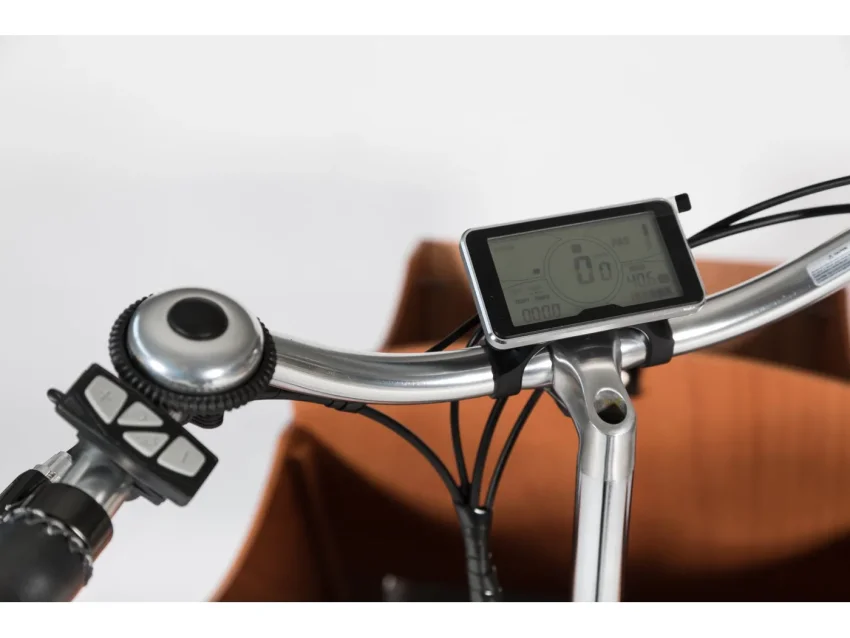 ORIENT CARGO 2 WHEELS E-BIKE Μαύρο