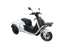 E-RIDE CARRIER DELIVERY 50 