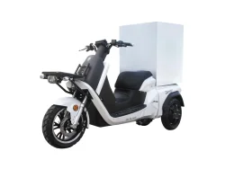 E-RIDE CARRIER DELIVERY 50 