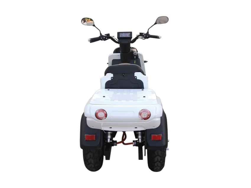E-RIDE CARRIER DELIVERY 50 