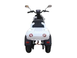 E-RIDE CARRIER DELIVERY 50 