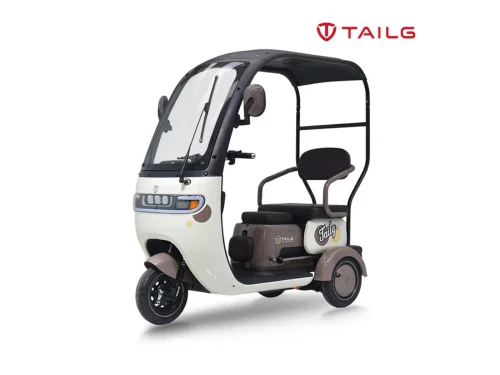 TAILG X4 LEAD ACID 