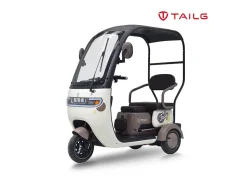 TAILG X4 LEAD ACID 