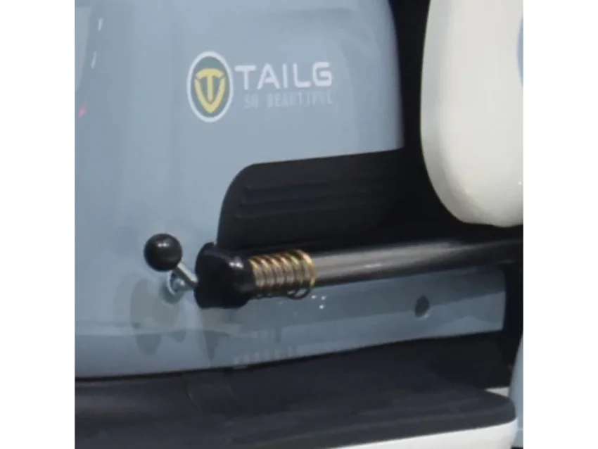 TAILG X4 LEAD ACID 