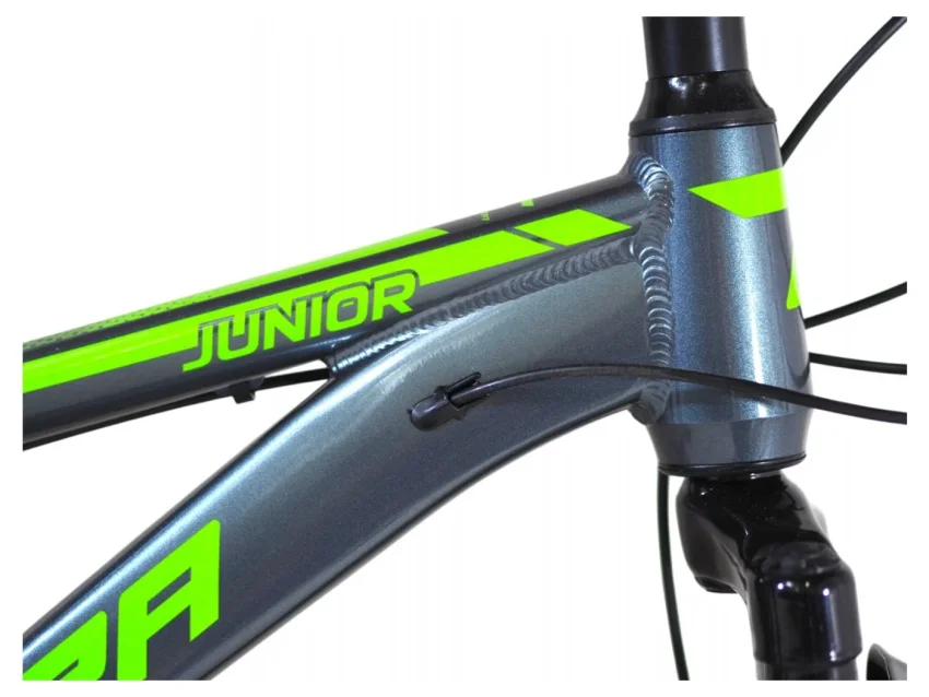 Carrera Junior 26'' 21T MB ανθρακί-πράσινο