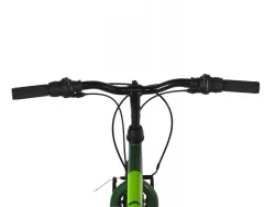 Alpina MTB 26''x14.5'' 21T Πράσινο
