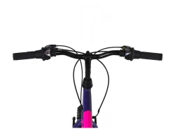 Alpina MTB 26''x14.5'' 21T /S Μωβ
