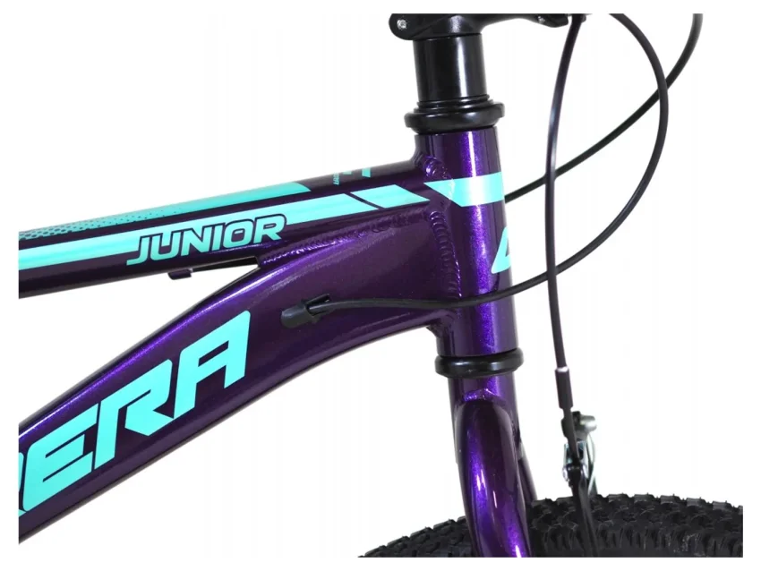 Carrera Junior 24'' VB Rigid μωβ-τυρκουάζ