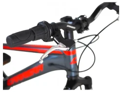 Carrera Junior 20'' VB Ανθρακί/Κόκκινο