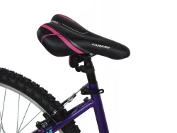 Alpina Alpha eco MTB 24'' Μωβ