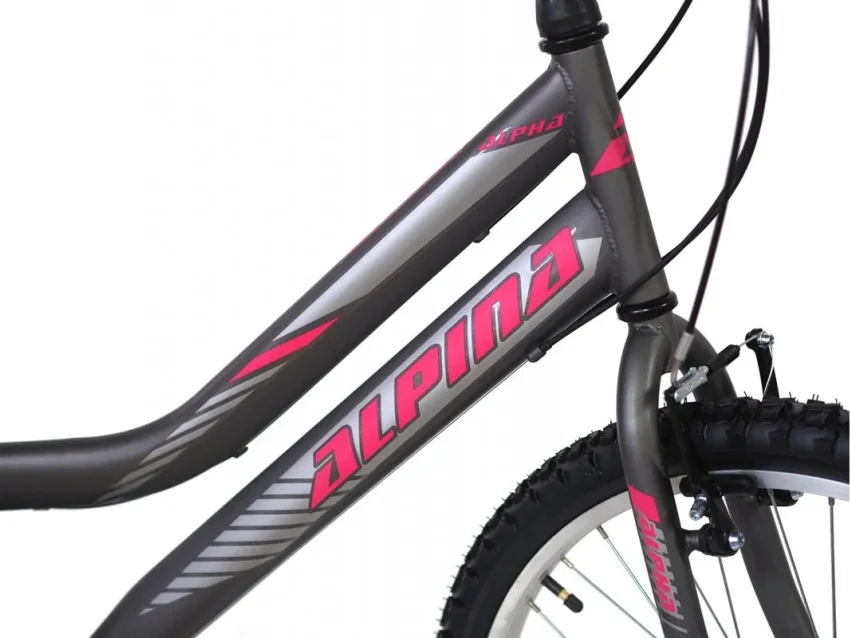 Alpina Alpha shimano MTB 24" Ανθρακί (L)