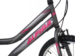Alpina Alpha shimano MTB 24" Ανθρακί (L)