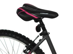 Alpina Alpha shimano MTB 24" Ανθρακί (L)