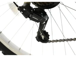 Alpina Alpha Shimano MTB 24" Ροζ