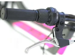 Alpina Alpha eco MTB 26" Ανθρακί (L)