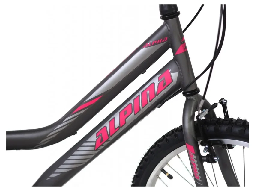 Alpina Alpha Shimano MTB 26" Ανθρακί (L)